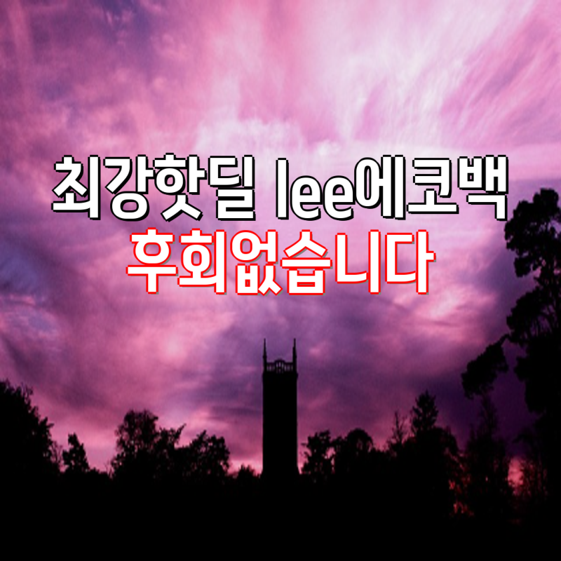 최강핫딜! Lee에코백 특가세일, Luntim 여성숄더백과 캔버스 쇼퍼백 추천 | 에코백, 여행 가방, ....