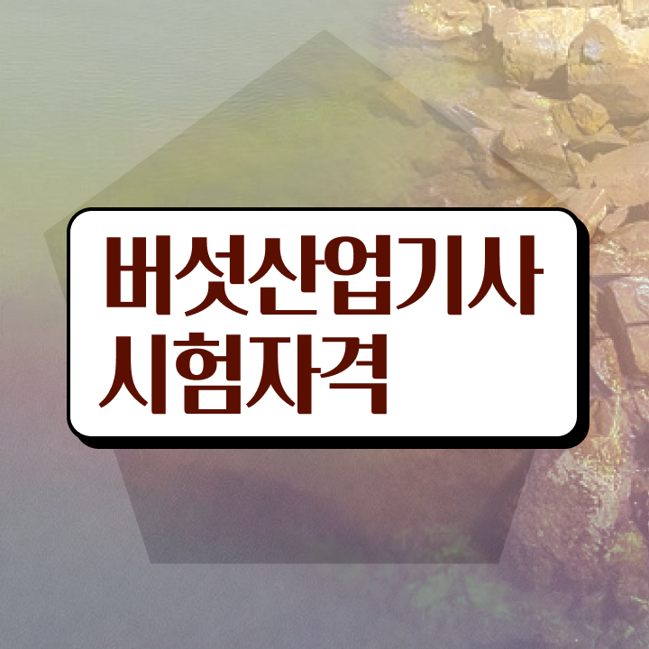  버섯산업기사 2024 버섯산업기사 시험자격 온라인 과정으로 빠르게 완료한 팁