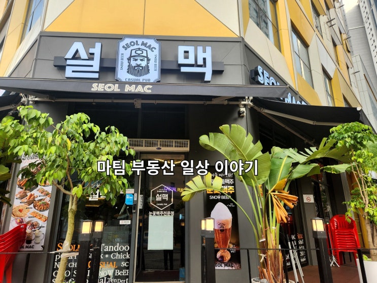  식사동 호프집 설맥 일산식사점
