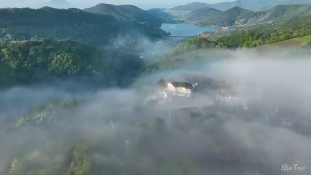  7세 엘리하이로 요약 정리