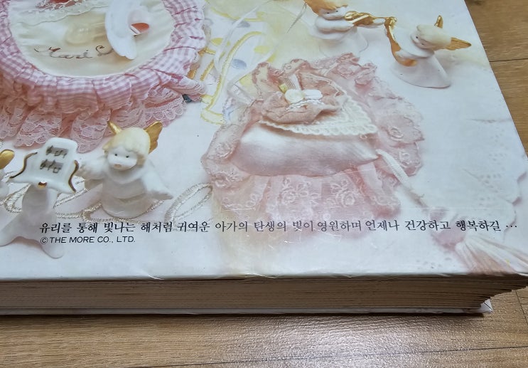  [인프제 일기] 포토덤프 챌린지를 핑계 삼아 가족사진 보관하기