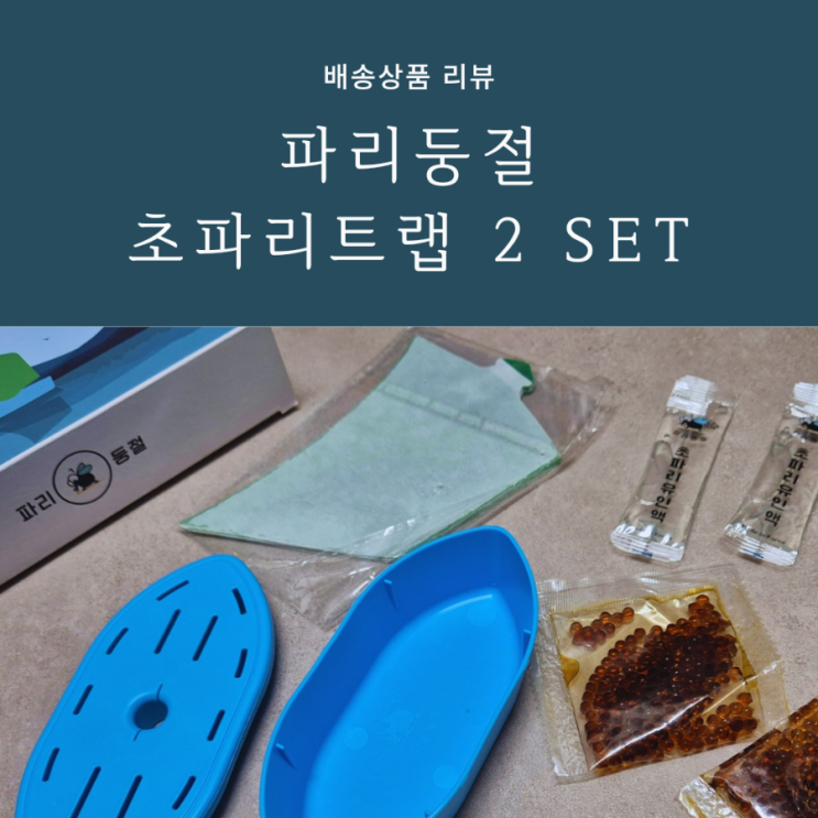 초간단 초파리 트랩 초파리없애는 방법 파리둥절 초파리 트랩 사용 후기 초간단 초파리 트랩 초파리없애는 방법 파리둥절 초파리 트랩 사용 후기