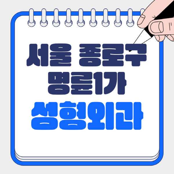 서울 종로구 명륜1가 성형외과, 최신 정보와 추천