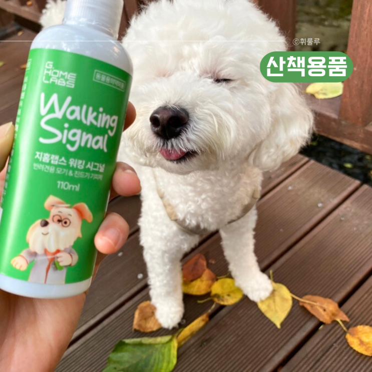  장마 후 산책, 강아지진드기퇴치제로 반려견해충퇴치 필수!