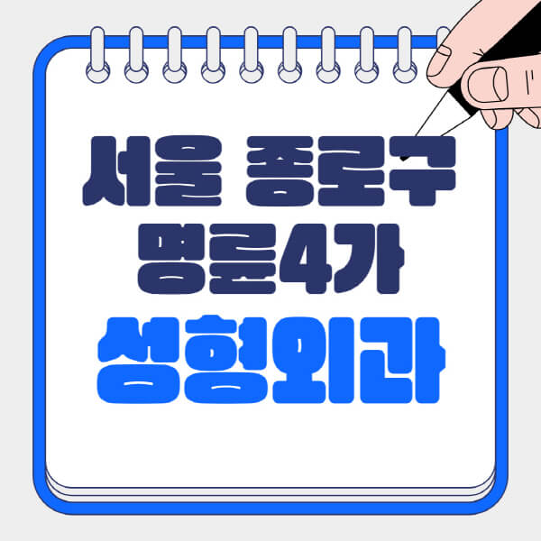  서울 종로구 명륜4가 성형외과, 어디가 가장 잘하는 곳일까?