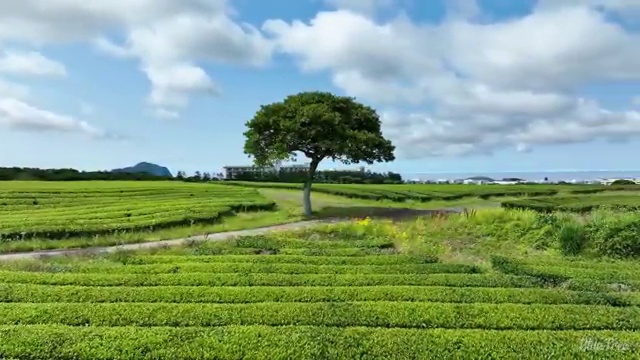  청주 결혼박람회 웨딩플래너 예산에 맞는 곳 찾아보세요 , 웨딩박람회에서 결혼준비 깔끔하게 알아보는 법