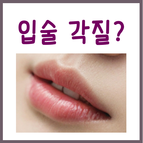  입술각질 관리? '이렇게'만 하면 문제없습니다