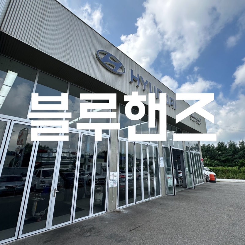 현대자동차 블루핸즈 예약 점검비용 수리비 정회원 무료서비스 받는법 주말방문후기