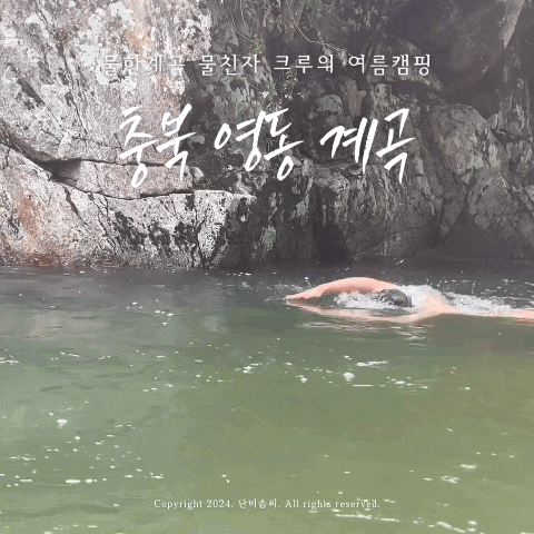  충북 영동 계곡을 거꾸로 거슬러 오르는 물친자의 여름캠핑