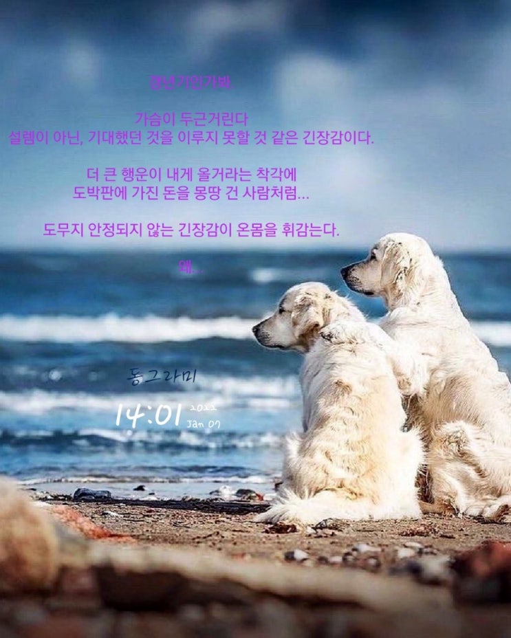  나의 갱년기는 그렇게 지나갔다.