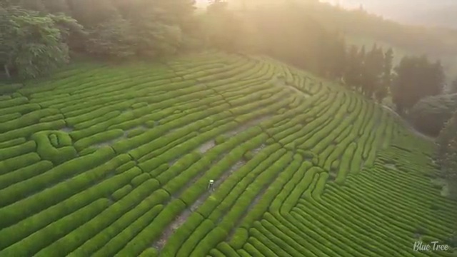  반영구화장자격증 , 반영구학원 오픈 할 때 공부해야 하는 조건들 동영상 과정으로 쉽고 빠르게