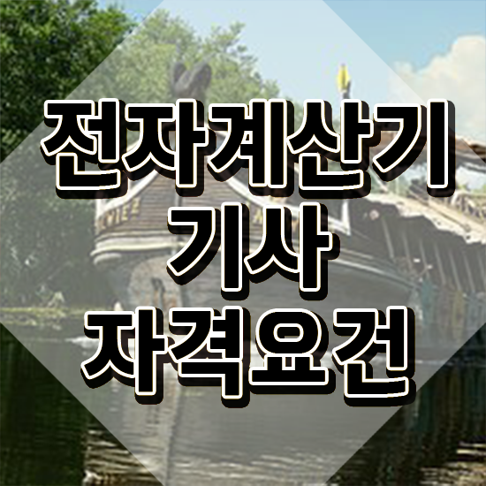  전자계산기기사실기 전자계산기기사 취득자격 인강만 듣고 5개월 만에 성공한 후기