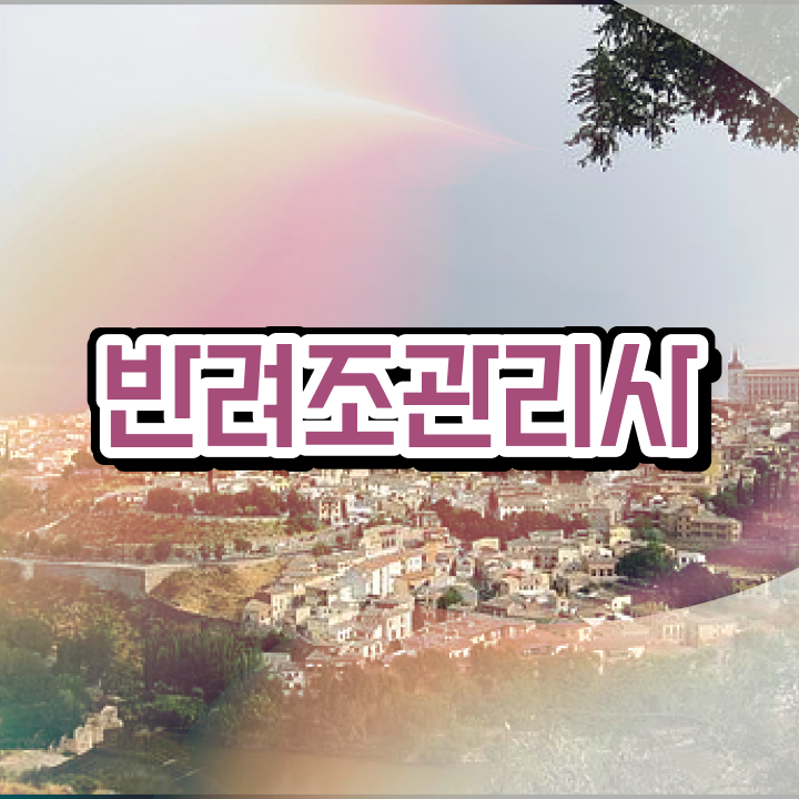  , 반려조관리사 자격증 단기간에 취득한 정보 , 활용 방법