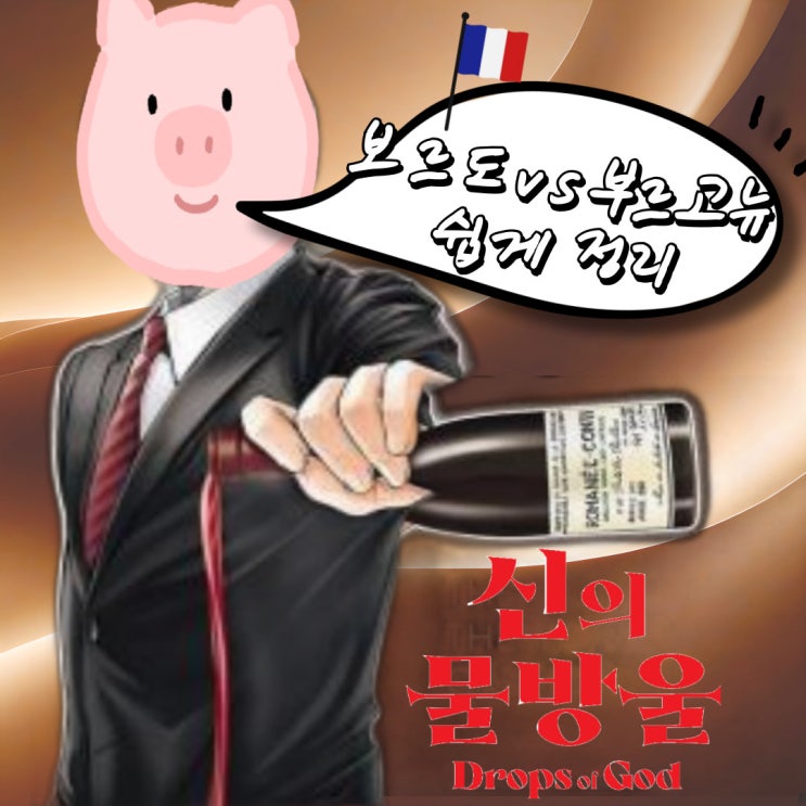  프랑스 와인 보르도 vs 부르고뉴 차이점 쉽게 정리해드립니다