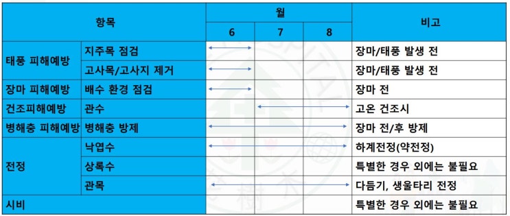  여름철 수목 관리