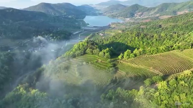  대전 결혼박람회 , 결혼 준비 의 첫걸음 , 웨딩박람회에서 깔끔하게 알아보는 법