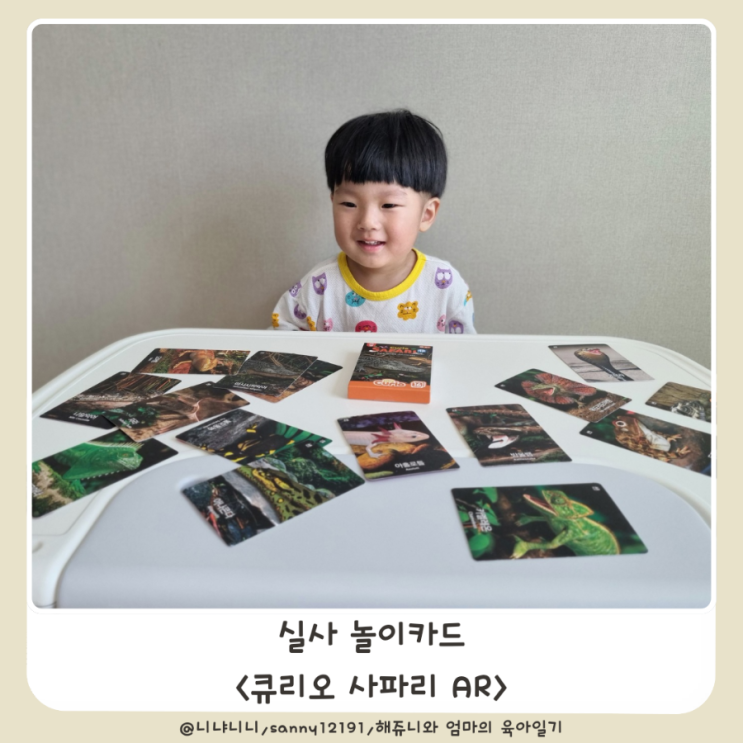  큐리오 사파리 자연관찰 AR 놀이카드 바다동물 양서류 곤충