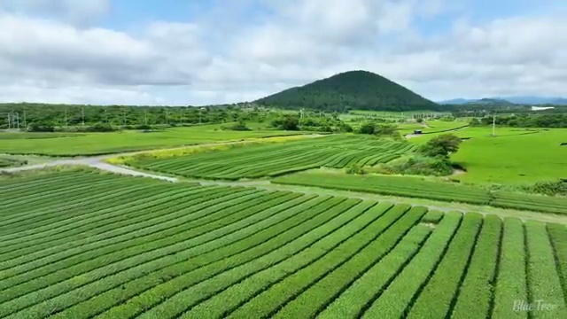  경남 학교사회복지사 자격증 사회복지사2급 경력없어도 독학으로 편하게