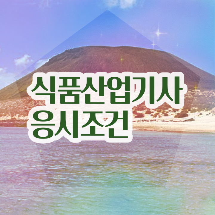  2024 식품산업기사 식품산업기사 시험자격 인강으로 단기간에 성공한 후기