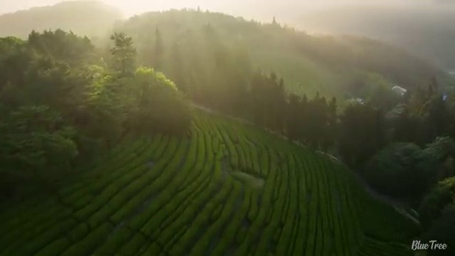  아산 사회복지 전담공무원시험 사회복지사2급 고졸도 학은제 활용하여 손쉽게