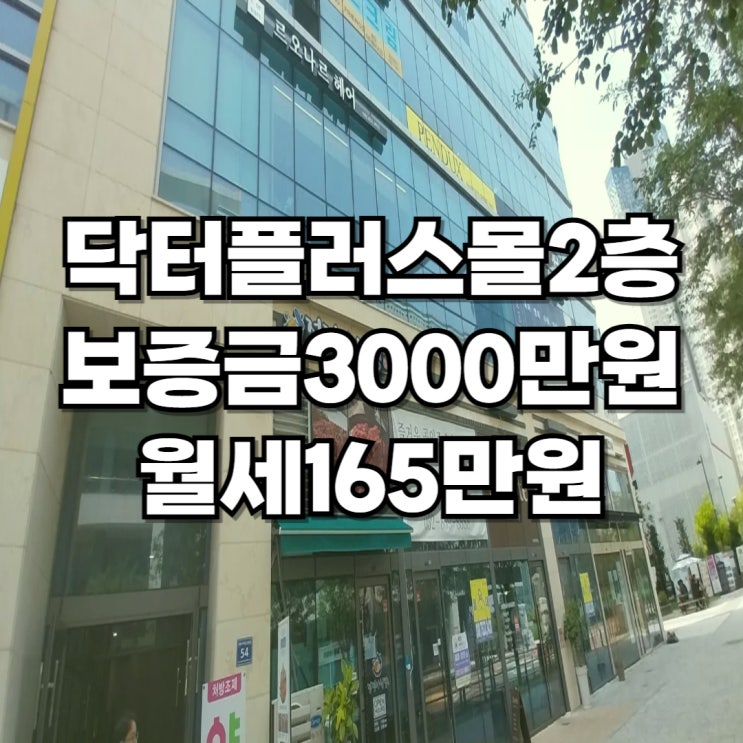  [송도 닥터플러스몰]2층 상가 임대 자리 정보(교습소,음식점 추천)