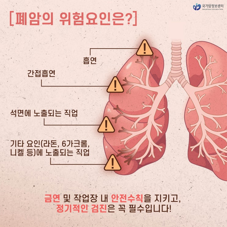  폐암의 위험요인은?