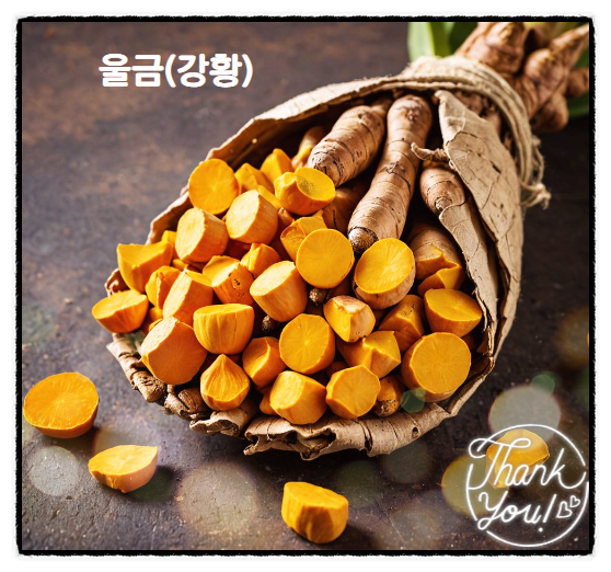  울금의 효능 강황과 다른점