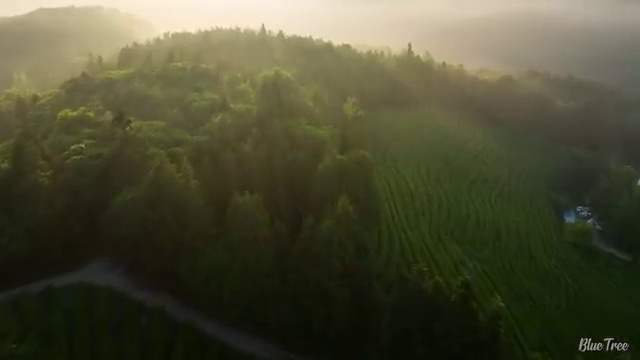 학점은행제 학습자등록 , 학은제 멘토 이것만 알고 연락하세요