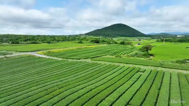  조선의장기사 시험자격 학점은행제로 간편하게 끝낸 방법