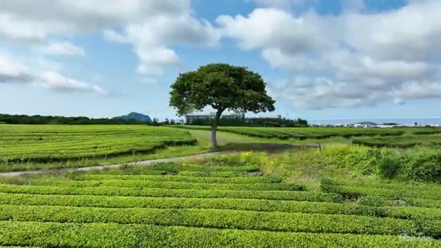  창원 사회복지사학벌 ~ 사회복지사2급 고졸자도 학점은행제로 수월하게