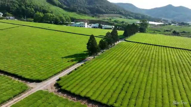  산업안전산업기사 필기시험 시간 산업안전산업기사 취득자격 독학으로 쉽고 빠르게 성공한 방법