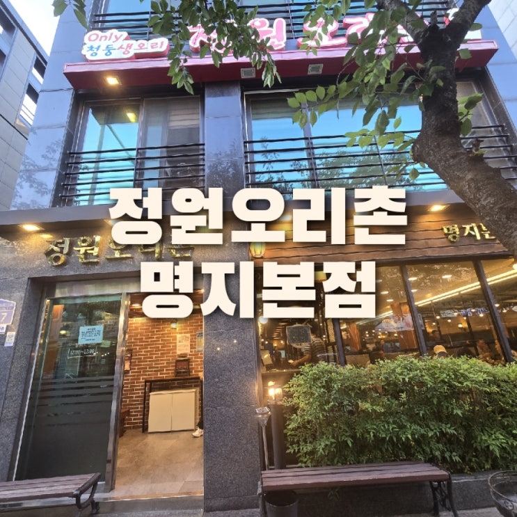  정원오리촌 명지 본점 청둥 생오리와 오리탕 정복!