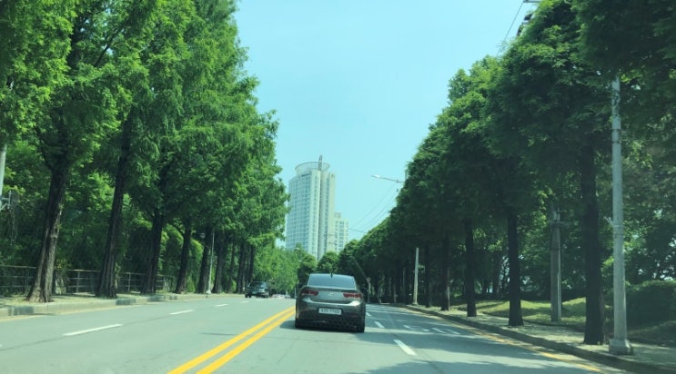  마포구 상암동 도로연수 1분 1초까지 꽉 채워 배웠어요