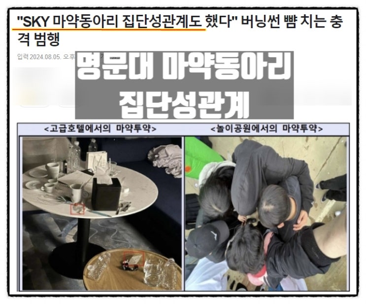 SKY 명문대 마약동아리 마약하고 집단성관계 SKY 명문대 마약동아리 마약하고 집단성관계