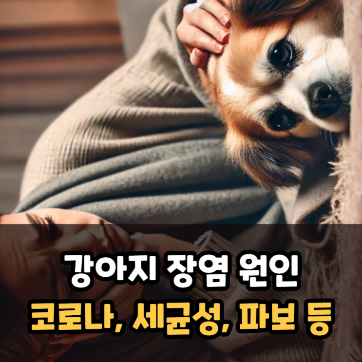  강아지 장염 원인 코로나, 세균성, 파보 등
