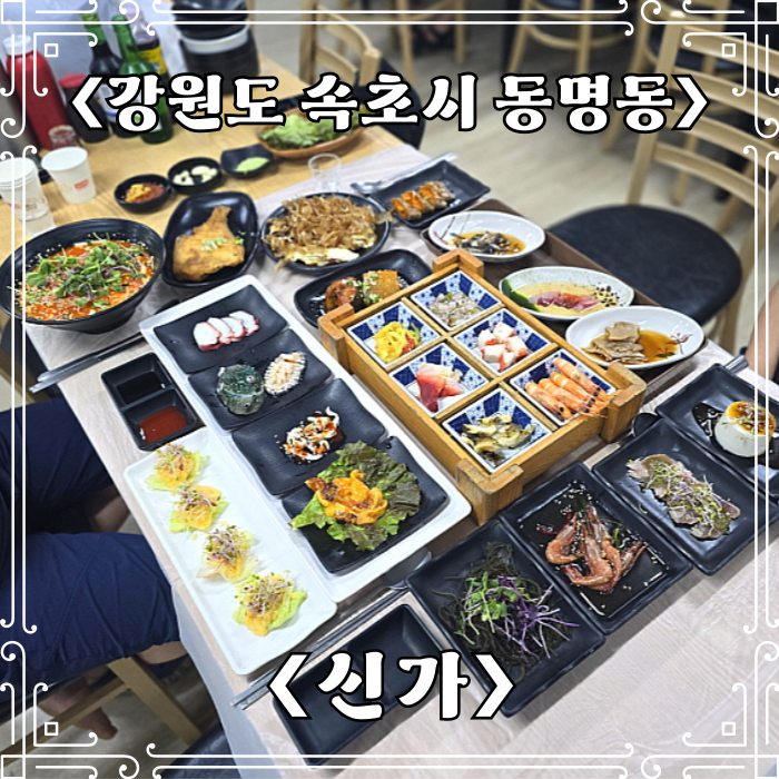  속초 물회 회포장 맛집 신가 푸짐한 회 한 상