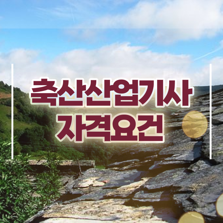  축산산업기사 시험자격 집에서 온라인으로 편하게 끝낸 후기