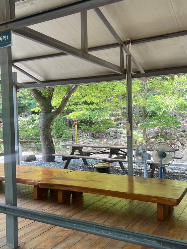 경북 청도당일치기 계곡 바로 앞 평상 대여 삼계리주말농원 경북 청도당일치기 계곡 바로 앞 평상 대여 삼계리주말농원
