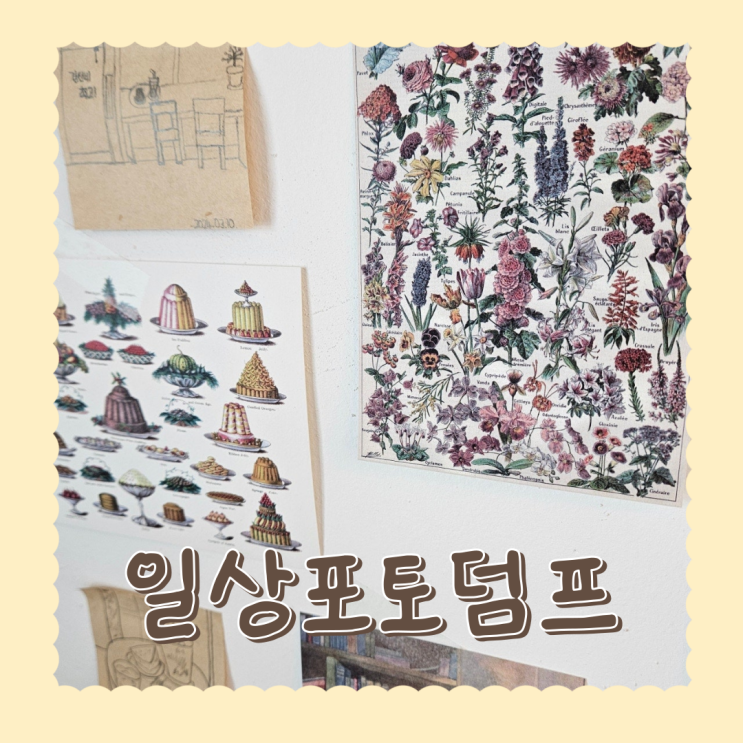  일상 포토 덤프 6회차 매 매 매운맛 궁금해 허니