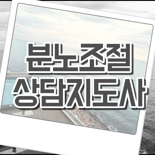  분노조절장애 아이 , 단기간에 분노조절상담지도사 취득한 방법