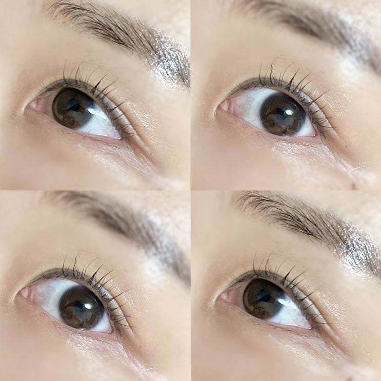  첨단속눈썹 속눈썹펌 잘하는 포르스뷰티 다녀왔어요