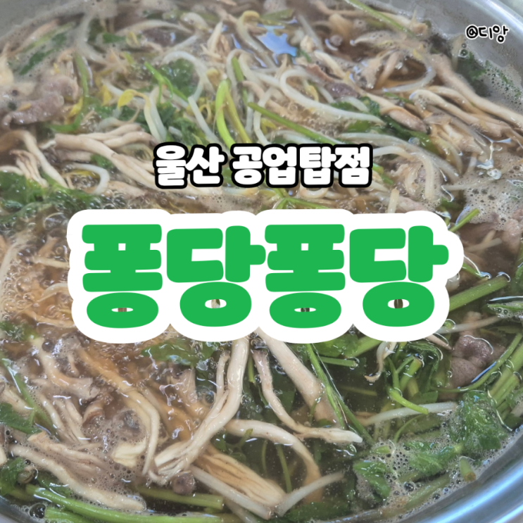  울산 신정동 공업탑맛집 퐁당퐁당샤브칼국수 든든한 밥집 추천
