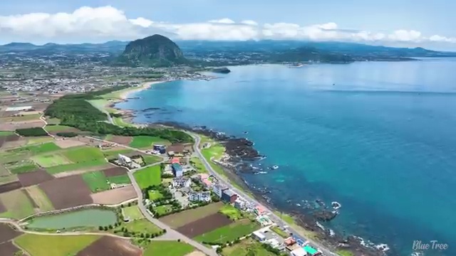  수산물품질관리사 자격증 , 취득 후 전망