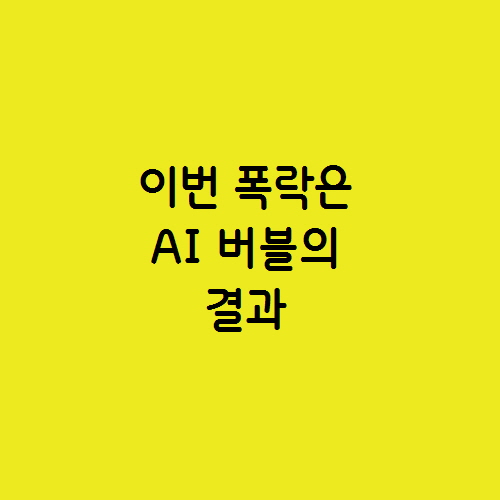  이번 폭락장은 AI 버블에 대한 반응이었고 대응책은?