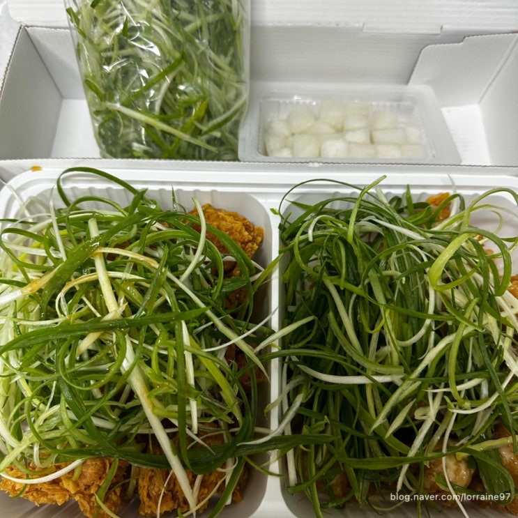  순살치킨에 파채 듬뿍주는 가락동 치킨 맛집 썬파닭치킨