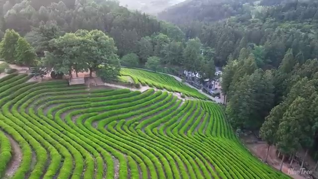  이용사 학원 , 종합미용사자격증 40대도 인강만으로 학위 자격증 한방에 딴 노하우