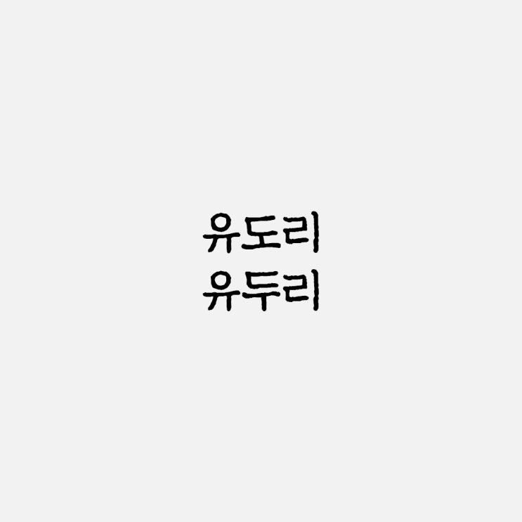 유도리 유두리 올바른 맞춤법과 사용 예시