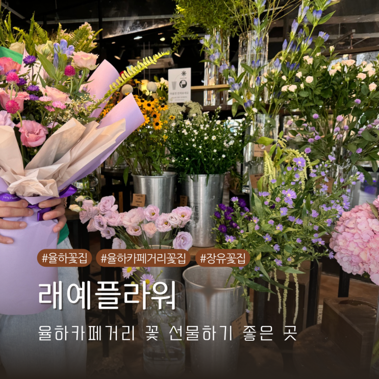  율하꽃집 데이트 선물 혹은 집안 분위기 바꿀 꽃들이 가득 찬 래예플라워 방문기