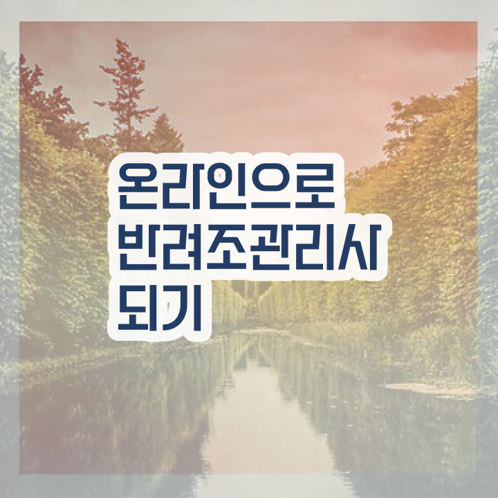  퀘이커 앵무새 종류 , 반려조관리사 자격증 합격한 후기 요점정리