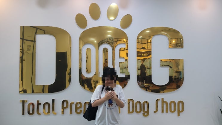  장모 치와와 분양 성공기 새로운 가족과의 첫 만남 / 강아지분양 세종애견샵 세종시강아지분양 조치원강아지분양 조치원애견샵  오송강아지분양 오송애견샵
